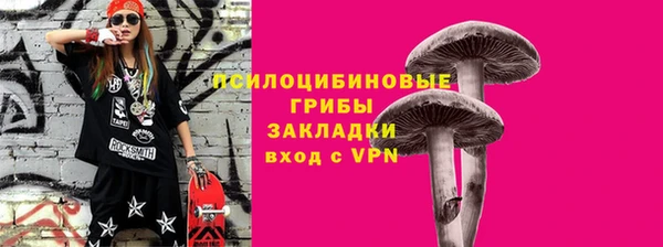 мет Белокуриха