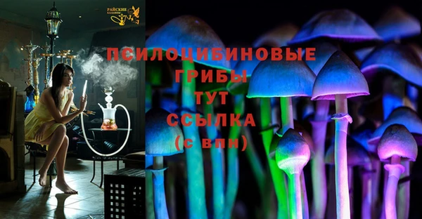 прущие крисы Покачи