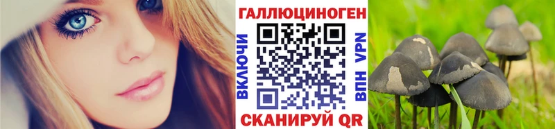 Галлюциногенные грибы MAGIC MUSHROOMS KRAKEN рабочий сайт нарко площадка наркотические препараты закладки Очёр